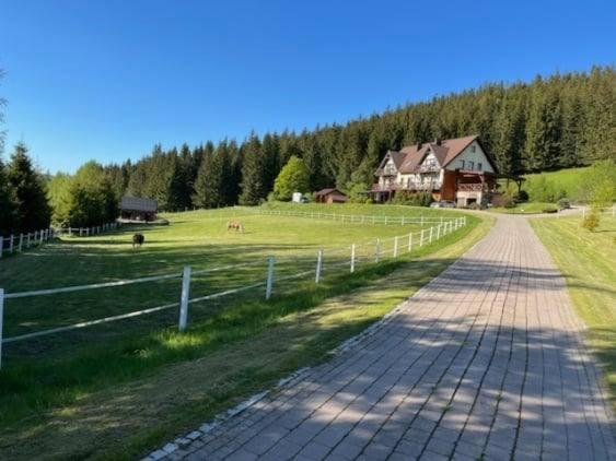 Wichrowe Wzgorze Villa Stronie Śląskie Eksteriør bilde